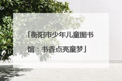 衡阳市少年儿童图书馆：书香点亮童梦