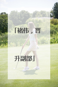 褚伟，晋升副部