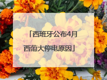 西班牙公布4月西葡大停电原因