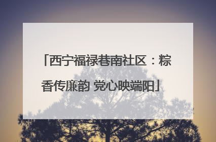 西宁福禄巷南社区：粽香传廉韵 党心映端阳
