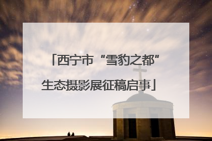 西宁市“雪豹之都”生态摄影展征稿启事