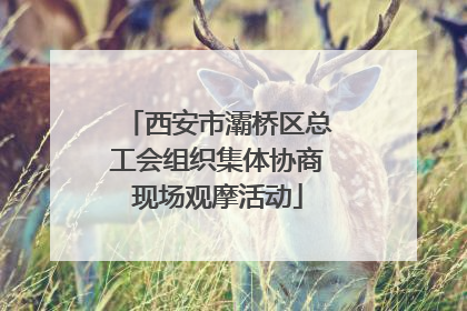 西安市灞桥区总工会组织集体协商现场观摩活动