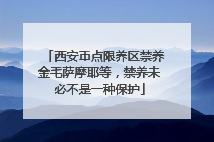 西安重点限养区禁养金毛萨摩耶等，禁养未必不是一种保护
