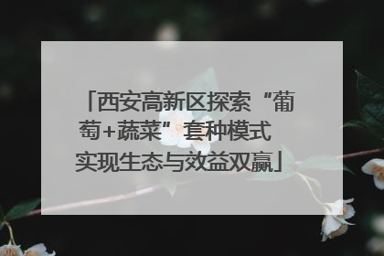 西安高新区探索“葡萄+蔬菜”套种模式 实现生态与效益双赢