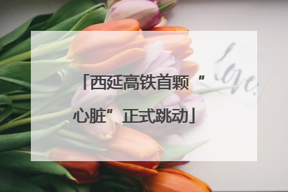 西延高铁首颗“心脏”正式跳动