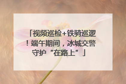 视频巡检+铁骑巡逻！端午期间，冰城交警守护“在路上”