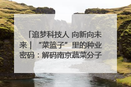 追梦科技人 向新向未来｜“菜篮子”里的种业密码：解码南京蔬菜分子育种的创新之路
