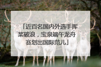 近百名国内外选手挥桨破浪，宝泉端午龙舟赛划出国际范儿