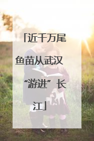 近千万尾鱼苗从武汉“游进”长江