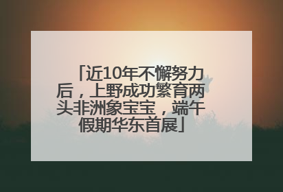 近10年不懈努力后，上野成功繁育两头非洲象宝宝，端午假期华东首展