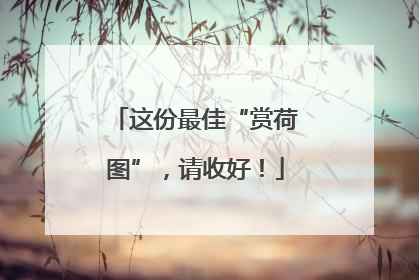 这份最佳“赏荷图”，请收好！