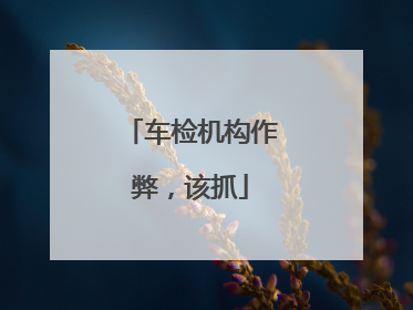 车检机构作弊，该抓