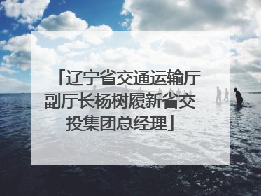 辽宁省交通运输厅副厅长杨树履新省交投集团总经理
