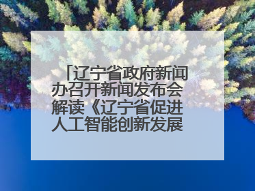 辽宁省政府新闻办召开新闻发布会解读《辽宁省促进人工智能创新发展实施方案》