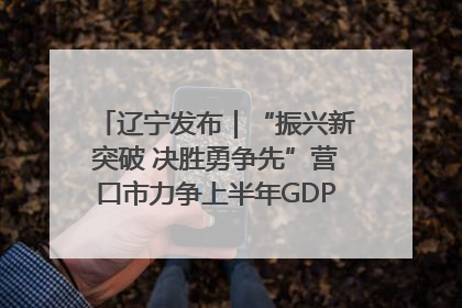 辽宁发布｜“振兴新突破 决胜勇争先”营口市力争上半年GDP增长6%左右