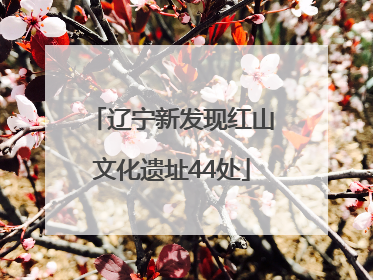 辽宁新发现红山文化遗址44处
