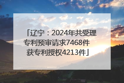 辽宁：2024年共受理专利预审请求7468件 获专利授权4213件