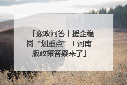 豫政问答丨援企稳岗“划重点”！河南版政策答疑来了