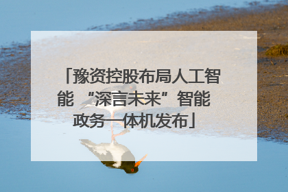 豫资控股布局人工智能 “深言未来”智能政务一体机发布