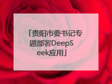 贵阳市委书记专题部署DeepSeek应用