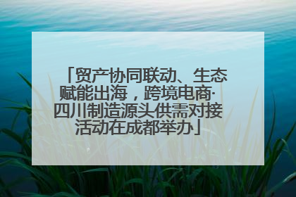 贸产协同联动、生态赋能出海，跨境电商·四川制造源头供需对接活动在成都举办