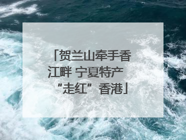贺兰山牵手香江畔 宁夏特产“走红”香港