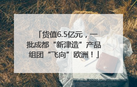 货值6.5亿元，一批成都“新津造”产品组团“飞向”欧洲！