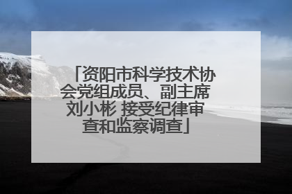 资阳市科学技术协会党组成员、副主席刘小彬 接受纪律审查和监察调查