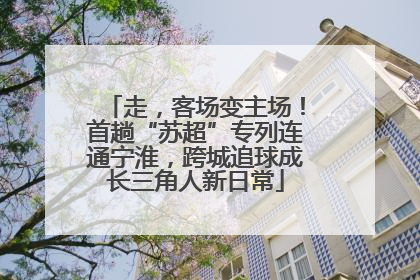 走，客场变主场！首趟“苏超”专列连通宁淮，跨城追球成长三角人新日常