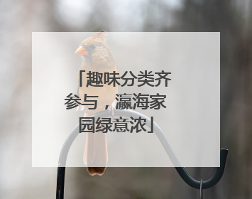 趣味分类齐参与，瀛海家园绿意浓