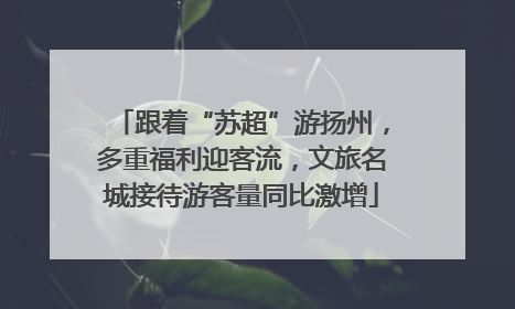 跟着“苏超”游扬州，多重福利迎客流，文旅名城接待游客量同比激增