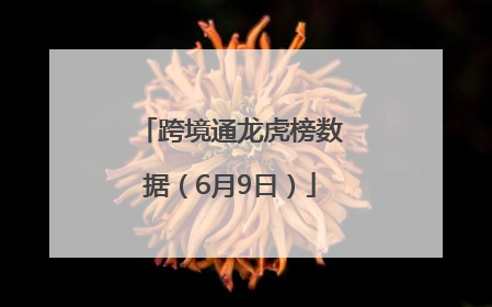 跨境通龙虎榜数据（6月9日）