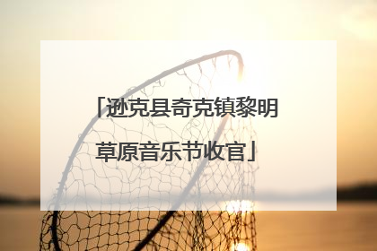 逊克县奇克镇黎明草原音乐节收官