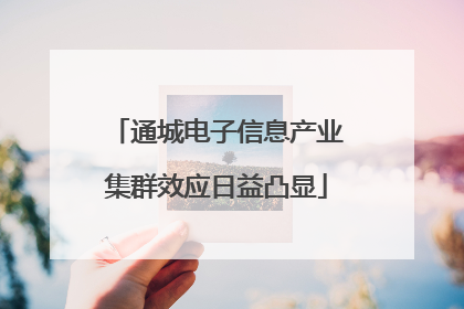 通城电子信息产业集群效应日益凸显