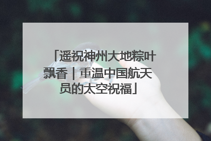 遥祝神州大地粽叶飘香｜重温中国航天员的太空祝福
