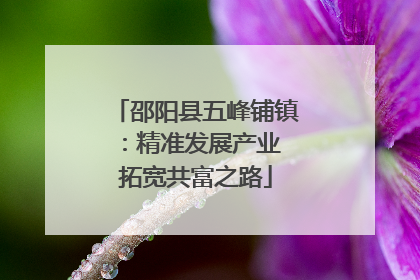 邵阳县五峰铺镇：精准发展产业 拓宽共富之路