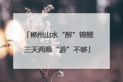郴州山水“醉”锦鲤 三天两晚“游”不够