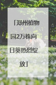 郑州植物园2万株向日葵热烈绽放