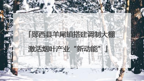 郧西县羊尾镇搭建调制大棚激活烟叶产业“新动能”