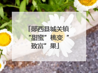 郧西县城关镇“甜蜜”桃变“致富”果