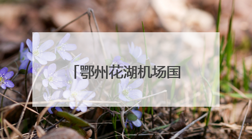 鄂州花湖机场国际公共货站配套机坪工程开工