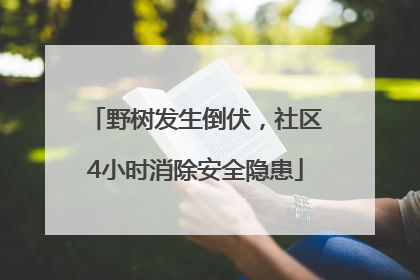 野树发生倒伏，社区4小时消除安全隐患