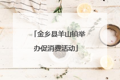 金乡县羊山镇举办促消费活动