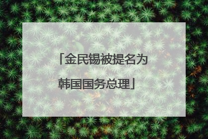 金民锡被提名为韩国国务总理