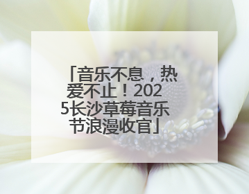 音乐不息，热爱不止！2025长沙草莓音乐节浪漫收官