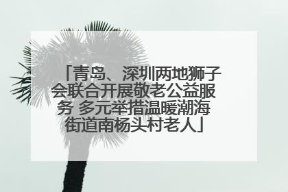 青岛、深圳两地狮子会联合开展敬老公益服务 多元举措温暖潮海街道南杨头村老人