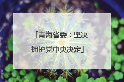 青海省委：坚决拥护党中央决定