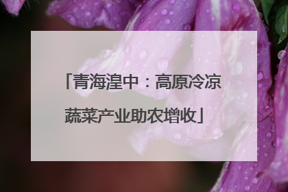 青海湟中：高原冷凉蔬菜产业助农增收