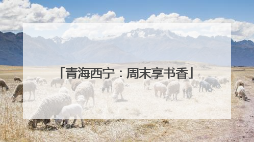 青海西宁：周末享书香
