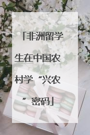 非洲留学生在中国农村学“兴农”密码